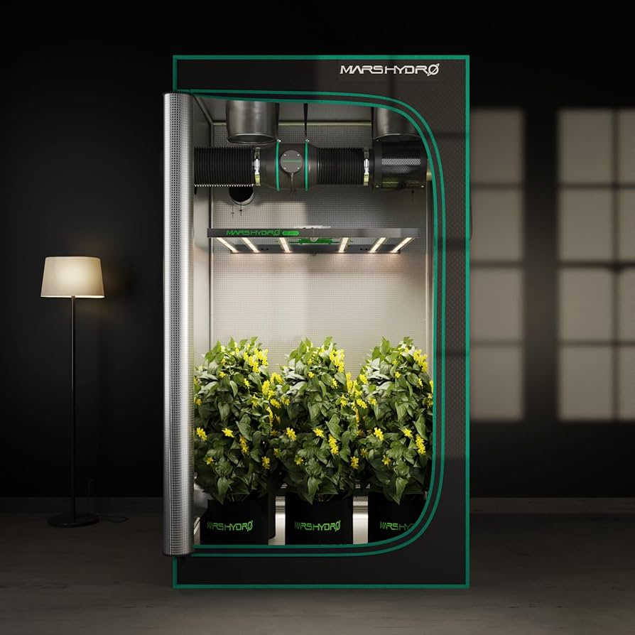 713t1u+Up-L._UF894,1000_QL80_.jpg